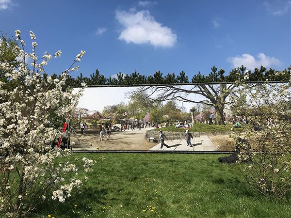 Interpark II in de Anningahof